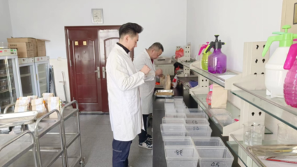 我市扎实开展春季农作物种子质量监督抽查工作，保障农业生产安全