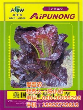 爱普农蔬菜种子市场价格与规格分析