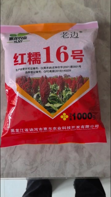 晋杂41号高粱种子 高产稳产的农业选择